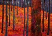 Autum