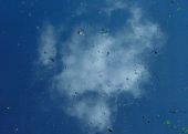 Cloud - Reflection